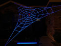 Almost GIANT GlowWeb with blacklight image