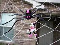 Almost GIANT web with Minnie Mouse image