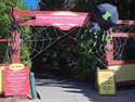 2 Almost GIANT Webs at zoo entrance image