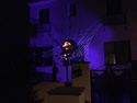 BERMUDA GlowWeb at night with giant spider image