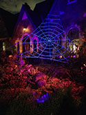 BERMUDA GlowWeb at night with spider image