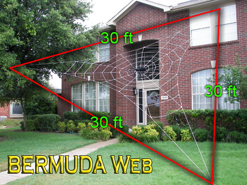 Bermuda Web Dimensions