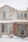 GIANT Web in snow image