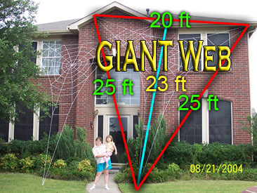 Giant Web Dimensions