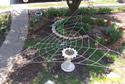 GIANT Web in Lawn (Top View) image