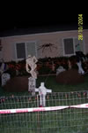 GIANT Web in Graveyard Display image