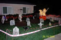 GIANT Web in Graveyard Display (alternate view) image