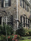 ULTRA Web with spiders image