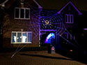 ULTRA GlowWeb at night with spider image