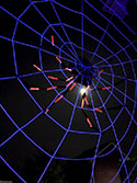 ULTRA GlowWeb at night with spider (closeup) image