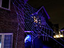 ULTRA GlowWeb at night with spider (side) image