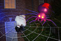 ULTRA Thick Rope GlowWeb with giant spider image